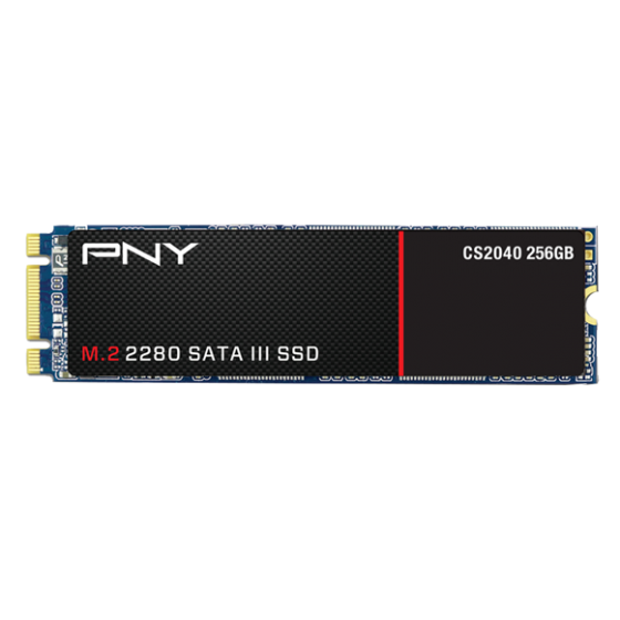 حافظه PNY-SSD CS2040